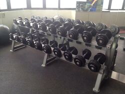 International Plaza (D2), Apartment #498808041